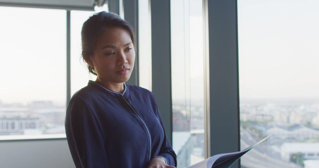 Professional Woman Reading Document by Window in Modern Office - Download Free Stock Images Pikwizard.com