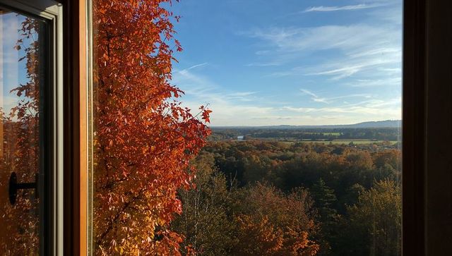 Autumn Window View Framing Red Ivy and Sunlit Countryside Across Forested Valley