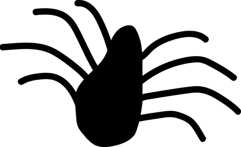 Spider silhouette abstract art on transparent background