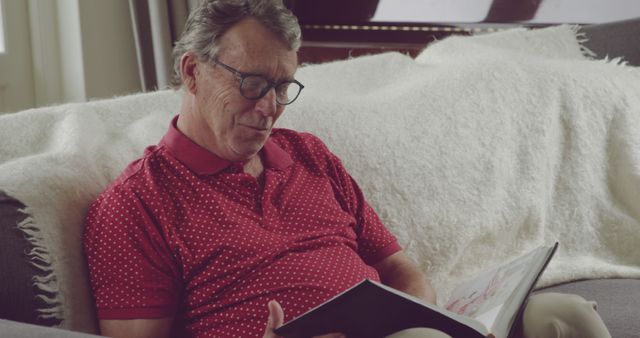 Senior Man Reading Book on Sofa in Cozy Living Room - Download Free Stock Images Pikwizard.com