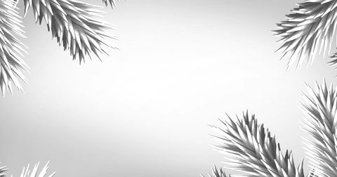 White Christmas Tree Branches on Gray Background Holiday Frame