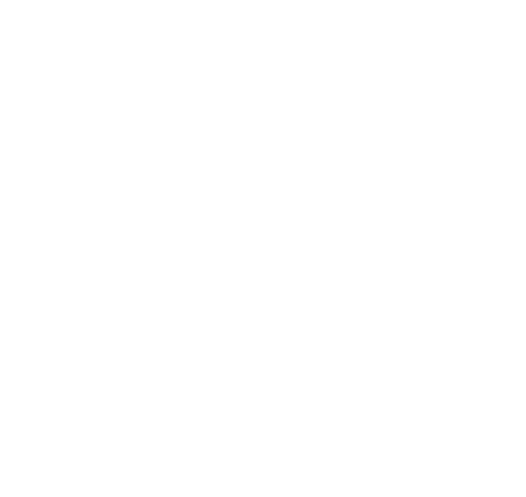 Hand drawn white star illustration on transparent background