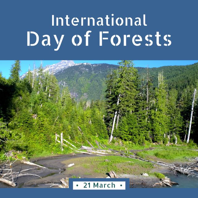 International Day of Forests Celebration with Scenic Woodland - Download Free Stock Templates Pikwizard.com