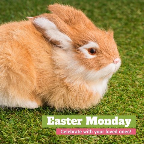 adorable rabbit on grass celebrating easter monday - Download Free Stock Templates Pikwizard.com