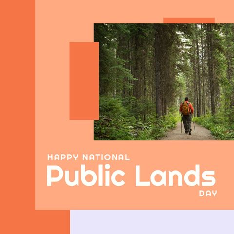 Backpacker Exploring Forest on National Public Lands Day Celebration - Download Free Stock Templates Pikwizard.com