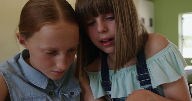 Focused Schoolgirls Collaborating on Project in Classroom - Download Free Stock Images Pikwizard.com