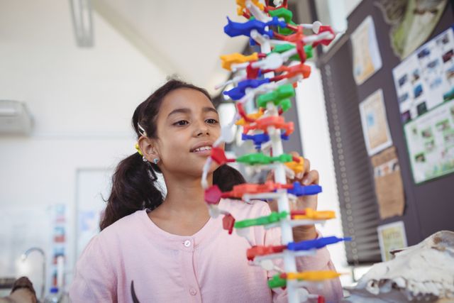 Young girl in a classroom setting examining a colorful DNA model. Ideal for educational materials, science-related content, school brochures, and articles promoting STEM education. Highlights curiosity and hands-on learning in a school environment.