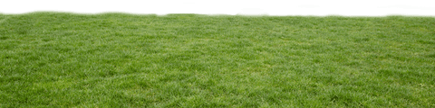 Digital Grassland Illustration on Transparent Background - Download Free Stock Videos Pikwizard.com