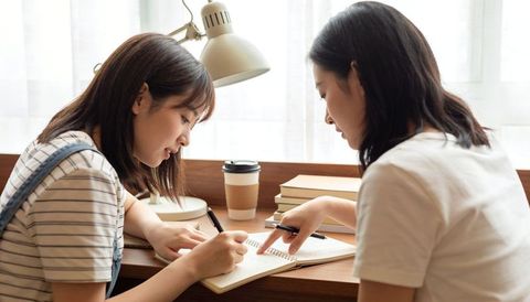 Students studying together at sunlit desk, peer tutoring, note taking, coffee break