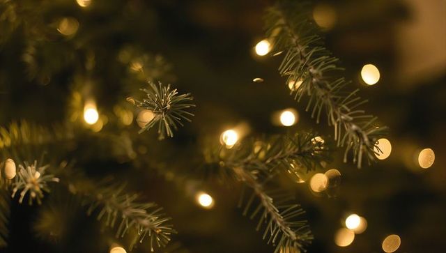 Evergreen Branch Closeup with Warm Bokeh Fairy Lights Creating Cozy Holiday Glow