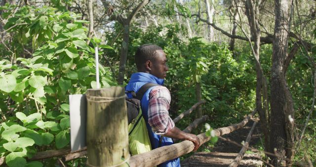 Man Hiking Through Forest Trail in Daytime - Download Free Stock Images Pikwizard.com