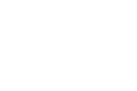 christmas trees pattern isolated on a transparent background - Download Free Stock Videos Pikwizard.com
