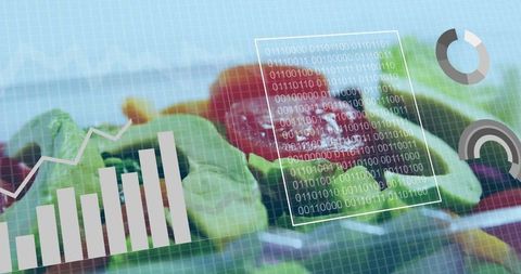 Futuristic Fresh Salad with Digital Data Overlay
