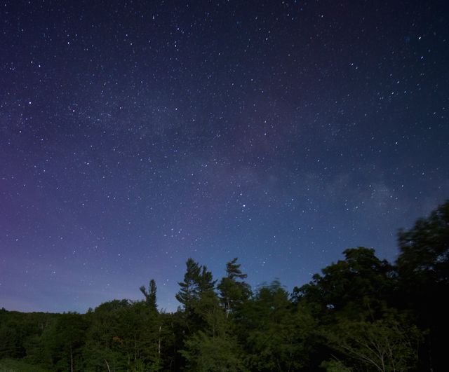 Stunning Night Sky Filled with Stars Above Forest Trees - Download Free Stock Photos Pikwizard.com