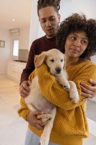 Couple holding golden retriever puppy in cozy sunlit kitchen wearing warm knit sweaters