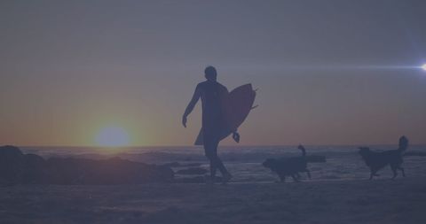 Surfer at Sunset with Surfboard and Dog - Download Free Stock Images Pikwizard.com