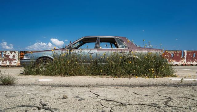 Abandoned sedan reclaimed by nature on rustic concrete pavement