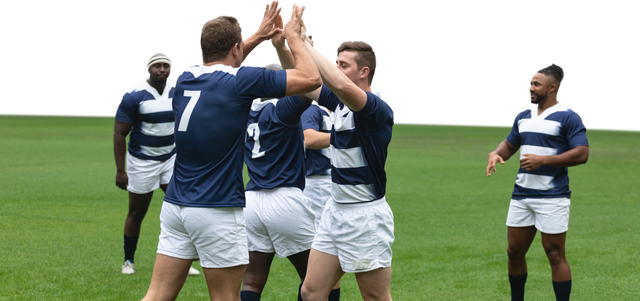 Diverse Male Rugby Players High Fiving on Transparent Background - Download Free Stock Videos Pikwizard.com