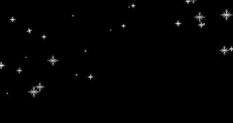 Snowflakes Falling on Black Background Animation