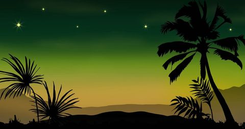 Tropical Silhouette Against Vibrant Sunset with Evening Stars - Download Free Stock Images Pikwizard.com