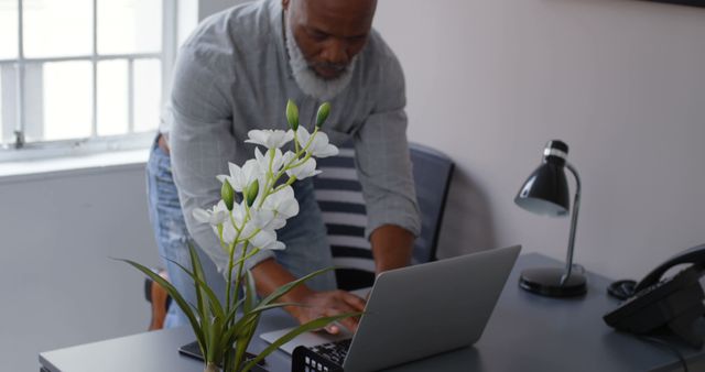 Senior Man Working on Laptop at Desk with Flower, Office Setting - Download Free Stock Images Pikwizard.com