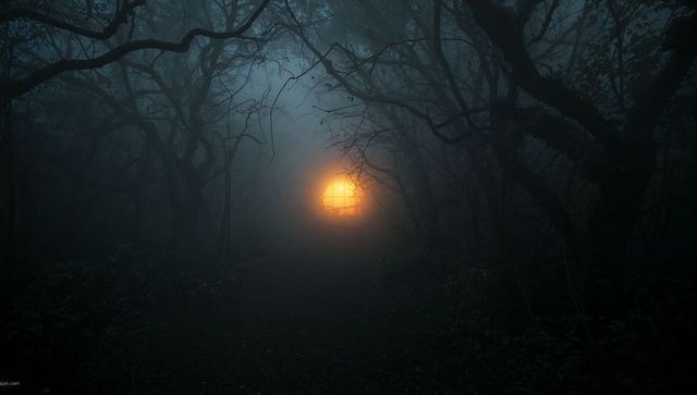 Mystical Lantern Illuminating Enchanted Woodland Path at Night