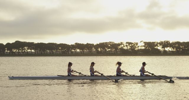 Women's Rowing Team Training at Sunset on Lake - Download Free Stock Images Pikwizard.com