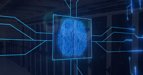 Digital Brain Circuit with Server Racks Highlighting AI Technology