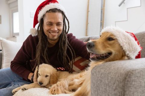 Smiling man celebrating christmas with golden retriever and puppy wearing santa hats