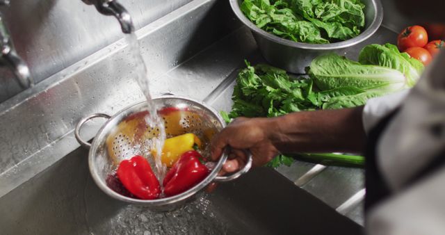 Chef Washing Fresh Vegetables in Kitchen Sink for Meal Preparation - Download Free Stock Images Pikwizard.com