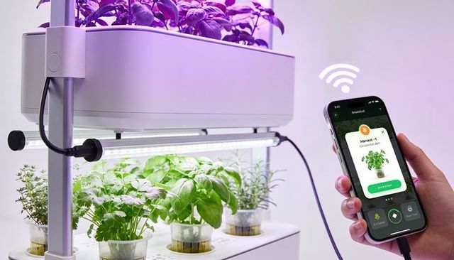 Smart hydroponic herb garden controlling with smartphone app, led grow lights and wi-fi
