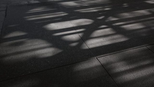 Dappled tree and slatted shadow patterns on concrete paving slabs in courtyard
