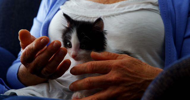 Elderly person gently cradling a small black and white kitten with loving hands. Image suitable for themes related to companionship, pet care, elderly well-being, tender moments, and the joys of having pets. Ideal for use in articles, blogs, marketing materials, and social media posts focusing on relationships between seniors and pets.