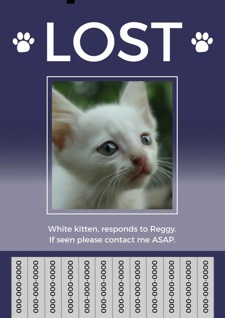 Lost Kitten Flyer with White Tabby Cat - Download Free Stock Templates Pikwizard.com