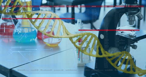 Composite of Digital Data Processing with DNA Strand in Laboratory