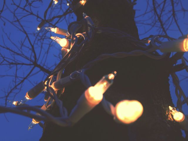 A close-up view of a tree wrapped with Christmas lights glowing during dusk. The lights create a festive and celebratory ambiance, making it perfect for holiday marketing materials, greeting cards, or articles related to winter decorations. Ideal for use in holiday promotions, festive event flyers, and seasonal content in blogs or social media.