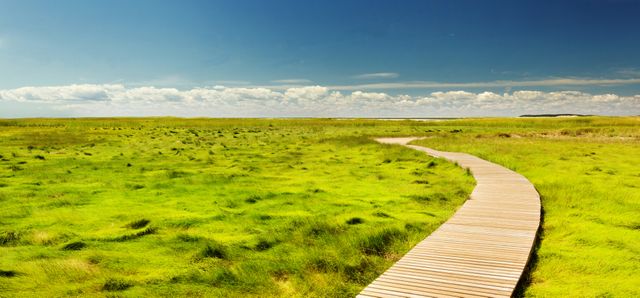 Wooden boardwalk winding through vibrant green grassland under a vast blue sky with scattered white clouds. Ideal for nature travel brochures, outdoor activity promotions, relaxation and recreation advertising, eco-tourism campaigns, and serene landscape posters and backgrounds.