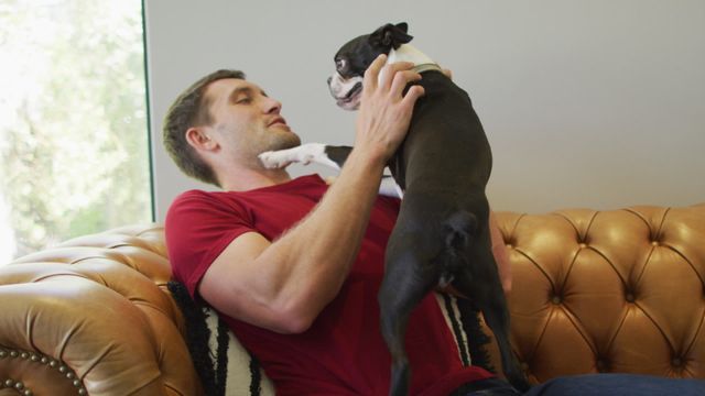 Man on couch joyfully playing with dog, showcasing happy pet-owner relationship. Perfect for themes related to companionship, pet care, bond between humans and animals, or home leisure. Suitable for blogs, articles, or advertising targeting lifestyle, pets, or mental well-being.