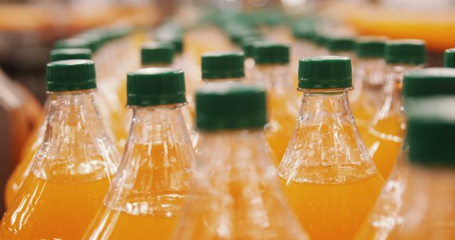 Displaying rows of bottled orange juice with green caps, this image highlights beverages in a manufacturing setting. Suitable for content about juice production, healthy drinks, refreshment options, and essential groceries. Ideal for blogs, websites, and advertisements focused on food and beverage industries, factory processes, and health-conscious lifestyles.