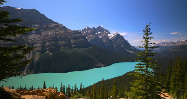 Beautiful mountain landscape featuring a vibrant turquoise lake with high peaks in the background under a clear blue sky. Pine trees framing the foreground add to the natural beauty. Perfect for promoting outdoor travel destinations, highlighting scenic beauty of nature, or used in nature magazines and travel blogs.