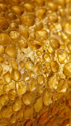 Shifting Macro Focus on Amber Translucent Cells and Luminescent Droplets – Vertical Video