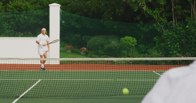 Senior playing tennis on outdoor court surrounded by greenery - Download Free Stock Images Pikwizard.com