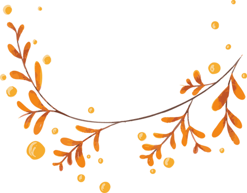 Vibrant orange branch with bubbles on transparent background