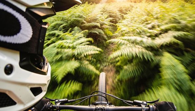 Pov mountain biking on narrow singletrack through ferns, full-face helmet and handlebars