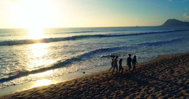 Group of Friends Walking on Beach at Sunset - Download Free Stock Images Pikwizard.com