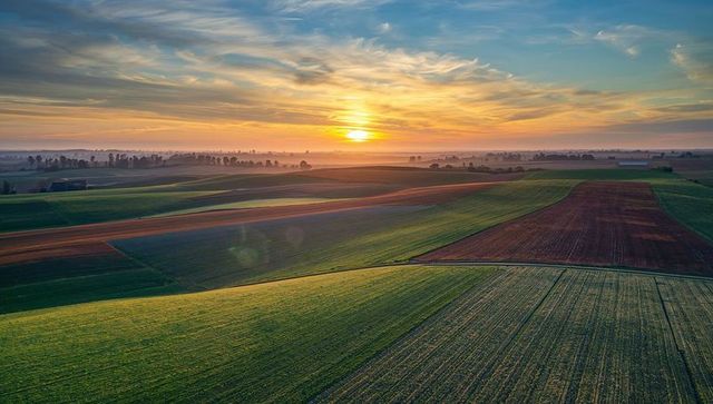 Golden sunset casting long shadows across rolling striped farmland and misty horizon