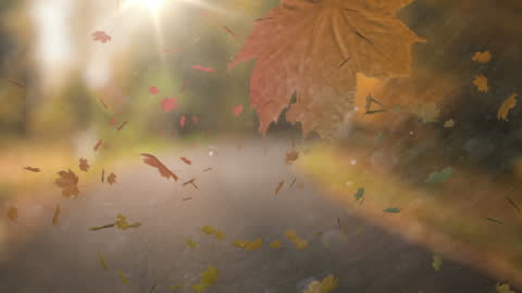 Falling Leaves in Autumn Overroad with Bokeh Effect