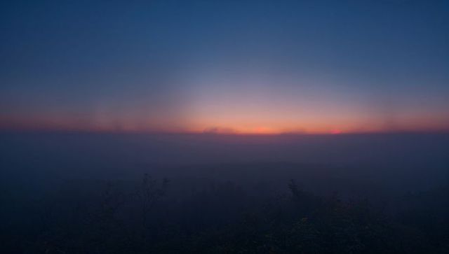 Dawn mist rolling over valley with glowing horizon band and silhouetted shrubs