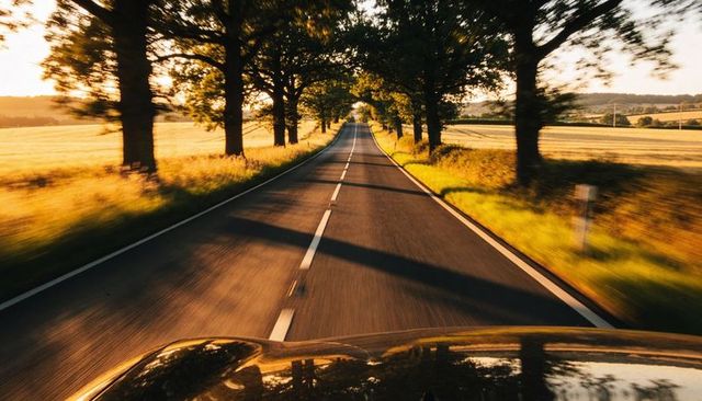 Driving along golden hour tree-lined country road with car hood reflecting sunset trees