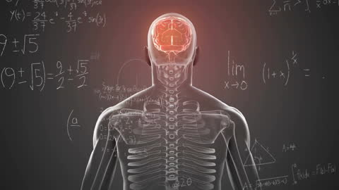 Conceptual Display of Transparent Human with Brain and Math Equations